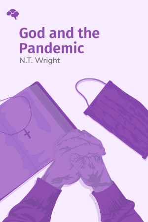 God and the Pandemic: A Christian Reflection on the Coronavirus and Its Aftermath