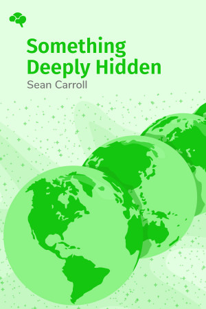 Something Deeply Hidden: Quantum Worlds and the Emergence of Spacetime