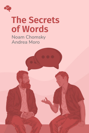 The Secrets of Words