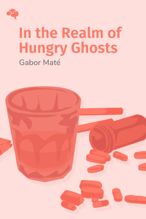 In the Realm of Hungry Ghosts: Close Encounters with Addiction